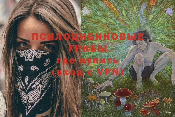 ПСИЛОЦИБИНОВЫЕ ГРИБЫ Коряжма